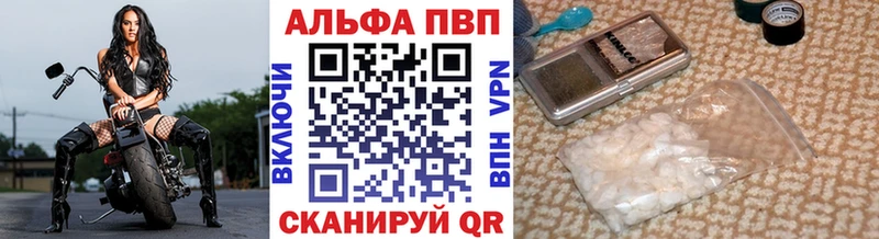 A PVP СК КРИС Саратов