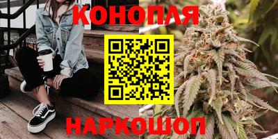 прущие грибы Беслан