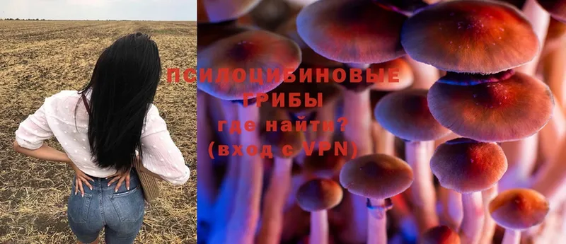 Псилоцибиновые грибы MAGIC MUSHROOMS  цены наркотик  ссылка на мегу онион  Саратов 