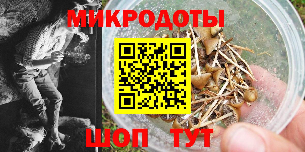 Псилоцибиновые грибы Psilocybine cubensis Саратов