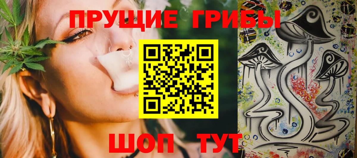 Саратов  Псилоцибиновые грибы Cubensis  Вход с VPN 
